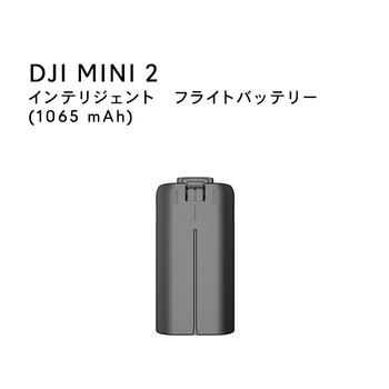 DJI Mini 2 Intelligent Flight Battery (1065 mAh)