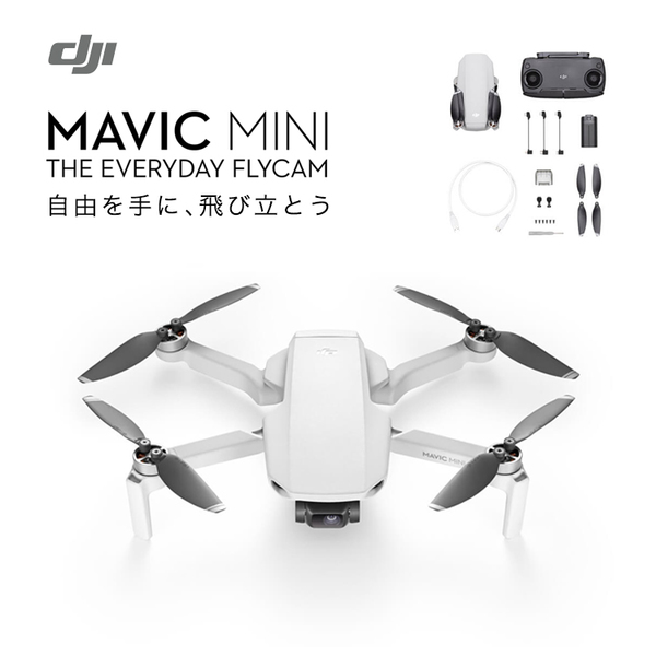 Mavic Mini - The Everyday FlyCam マビックミニ DJI