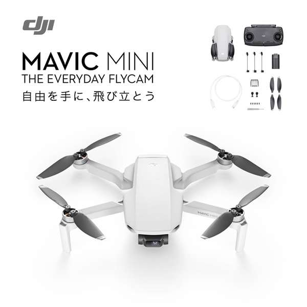 夏・お店屋さん 【父の日】DJI Mavic Mini （マビックミニ 200g以下